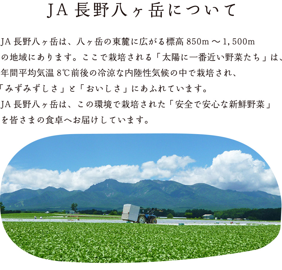 JA長野八ヶ岳について：JA長野八ヶ岳は、八ヶ岳の東麓に広がる標高850m〜1,500mの地域にあります。ここで栽培される「太陽に一番近い野菜たち」は年間平均気温8℃前後の冷涼な内陸性気候の中で栽培され、「みずみずしさ」と「おいしさ」にあふれています。JA長野八ヶ岳はこの環境で栽培された「安全で新鮮な野菜」を皆さまの食卓へお届けしています。