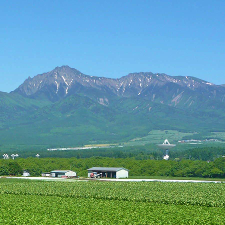 八ヶ岳と山麓の耕作地の風景