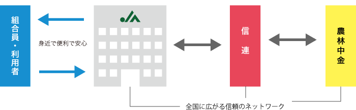 JAの役割説明 / 組合員・利用者⇄（組合員・利用者の総合窓口としてみなさまの立場にたった事業活動で総合的にサポート）⇄JA⇄（JAと連携・協調しながらJAの共済業務を総合的にバックアップ）⇄共済連