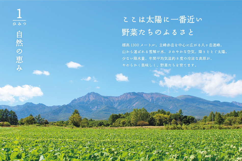 【ひみつ1】自然の恵み　「ここは太陽に一番近い野菜たちのふるさと」標高1,300メートル。主峰赤岳を中心に広がる八ヶ岳連峰。山から運ばれる雪解け水、さわやかな空気、降りそそぐ太陽。少ない降水量、年間平均気温約8度の冷涼な空気が、やわらかく美味しく、野菜たちを育てます。