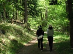 <b>「新緑のなかで味わうおにぎりは格別おいしい」</b><br>若葉の緑が日に日に色濃く山々を彩っています。五月の晴れた日はどこかへ出かけたくなる気分。ゴー …